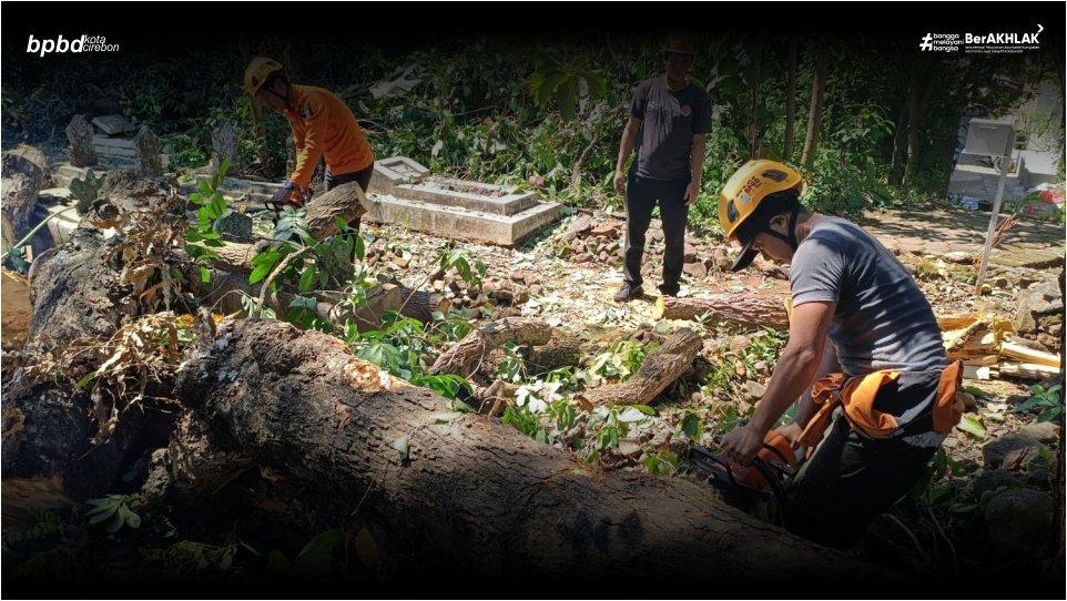 POHON TUMBANG DIDUGA AKIBAT ANGIN KENCANG