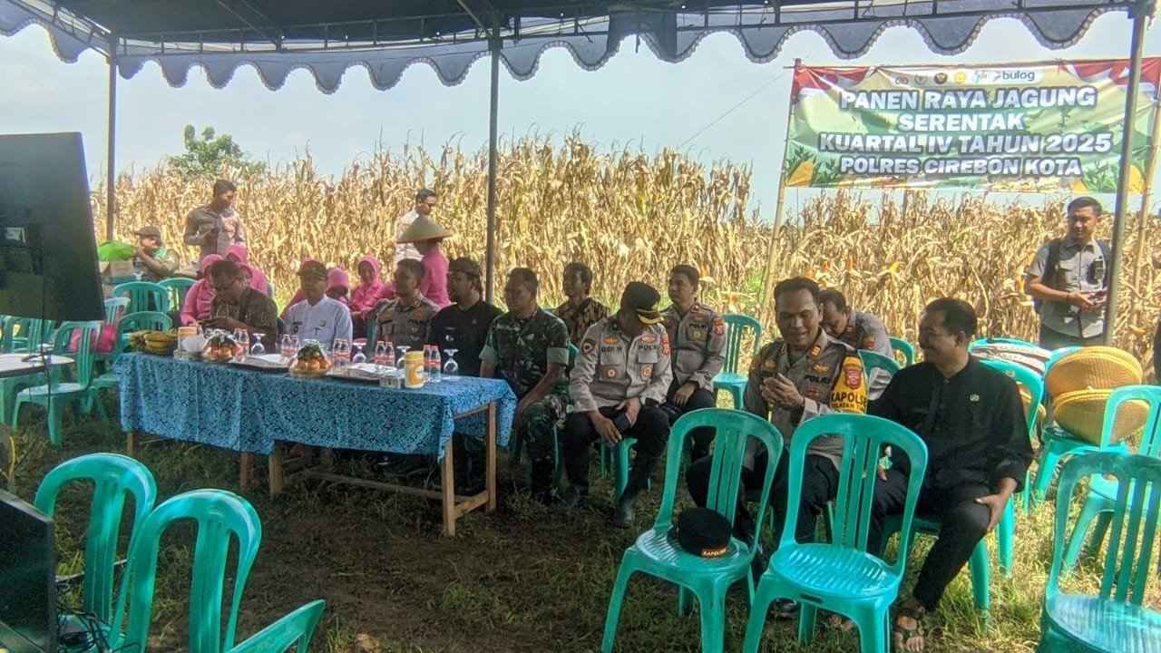MENGHADIRI PANEN RAYA JAGUNG